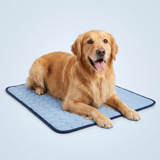 Lovax Cool Down Mat