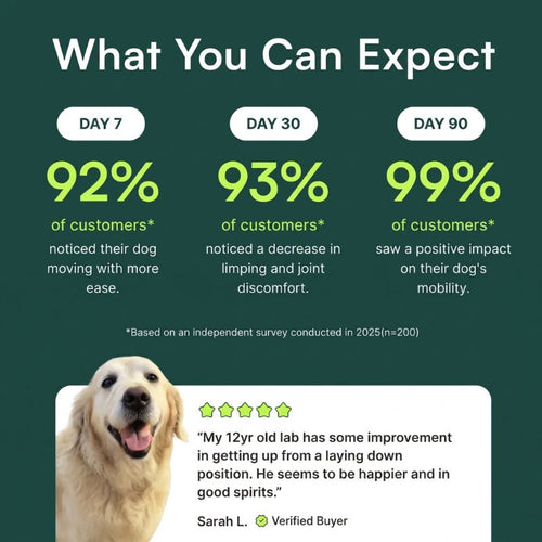 Lovax Hip & Joint Chews