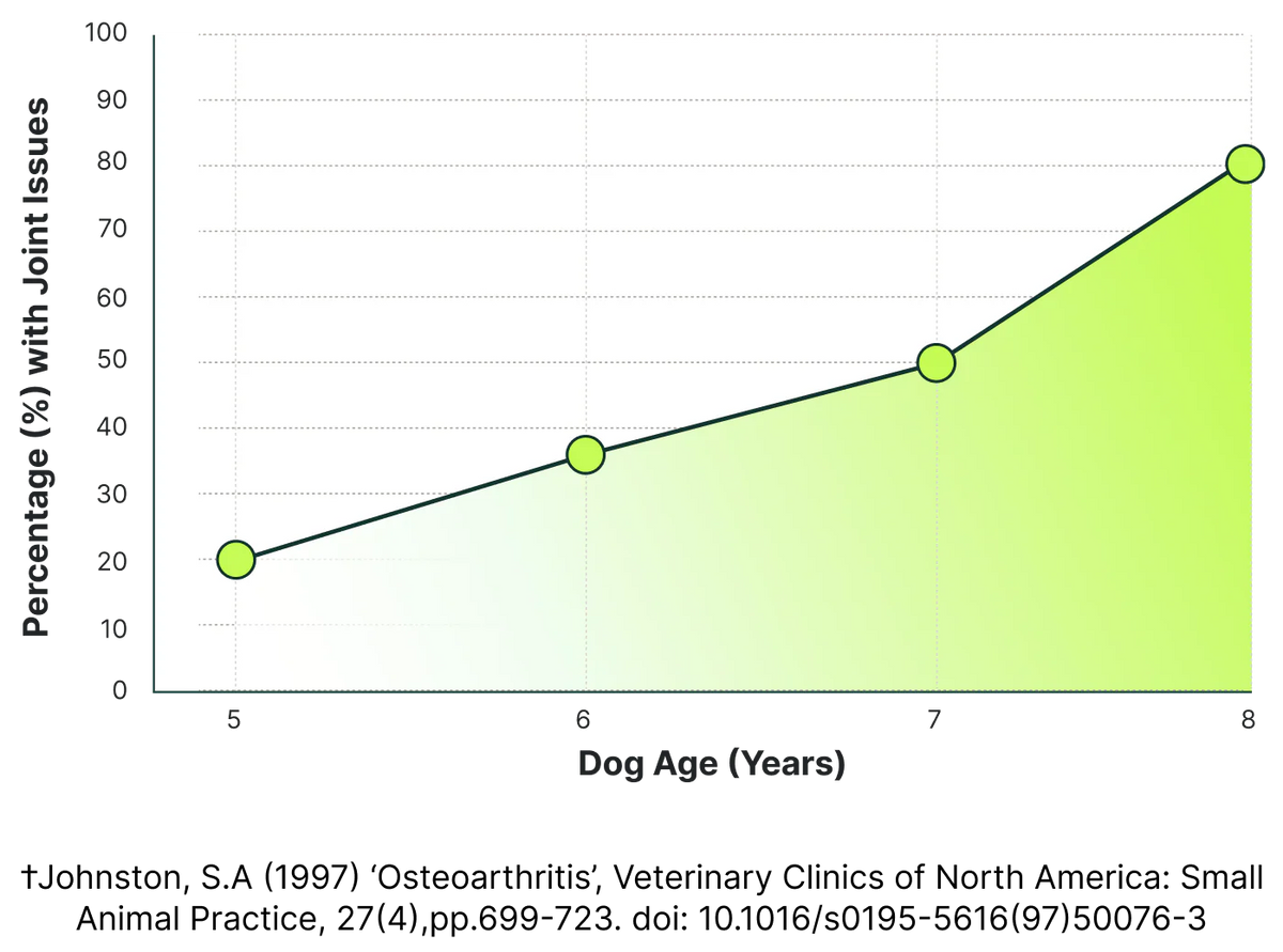 80% of dogs over 8 have joint problems