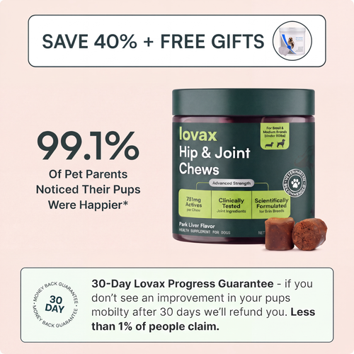 Lovax Hip & Joint Chews