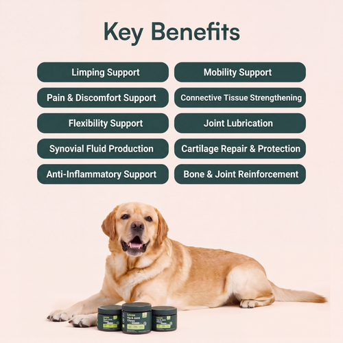 Lovax Hip & Joint Chews
