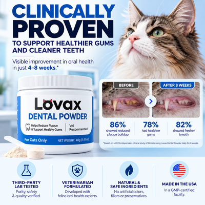 Lovax Dental Powder