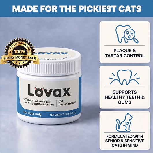 Lovax Dental Powder