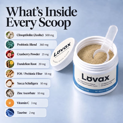 Lovax Dental Powder