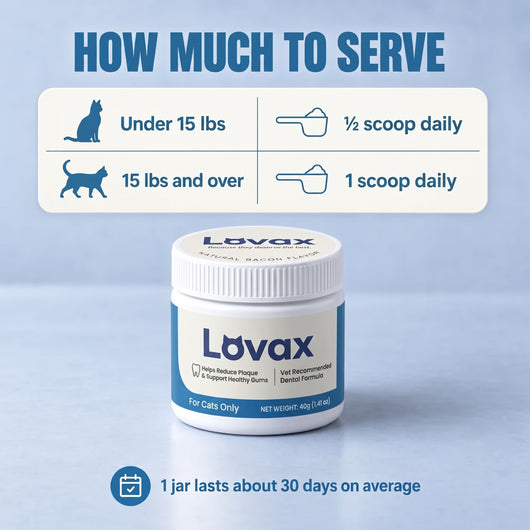 Lovax Dental Powder